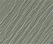Seagrass Seagrass