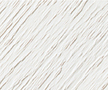White Birch White Birch