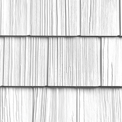 White Birch