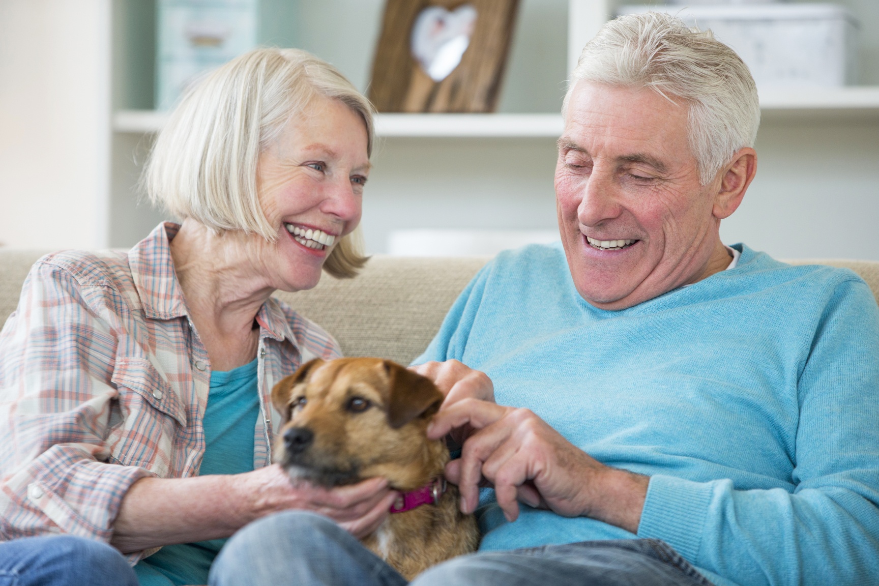 A happy senior couple laugh and smile together as they play with their pet dog at home. They are sitting on their sofa together. Photoframes and home decor can be seen in the background.
